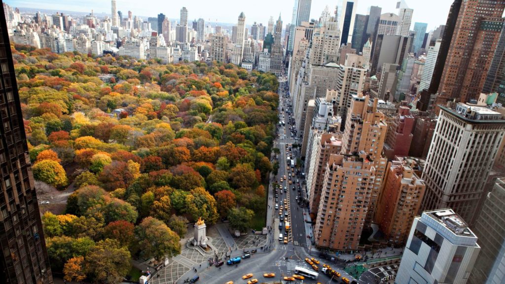 Central Park in New York City 