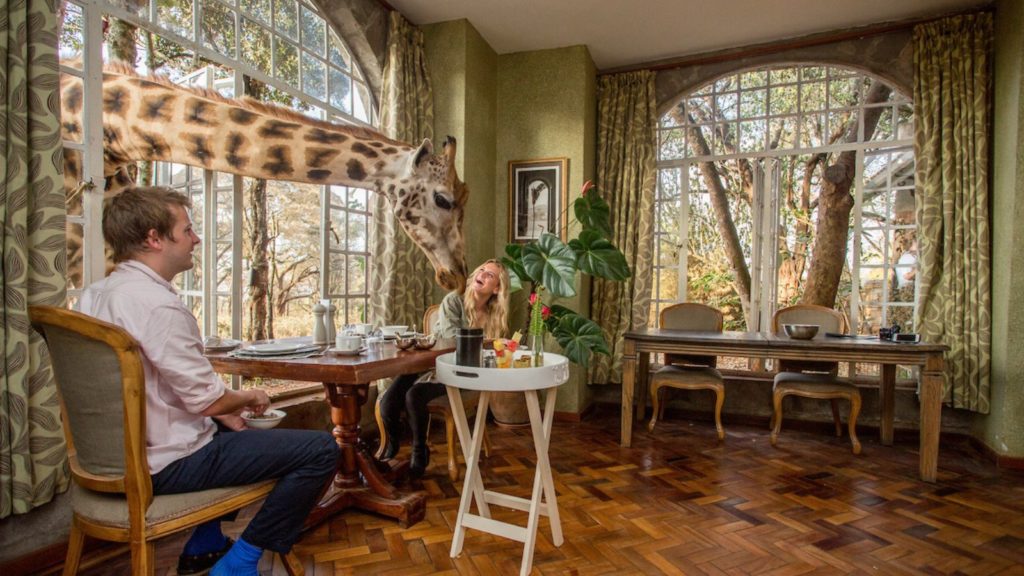 Breakfast with giraffes (Photo: Giraffe Manor)