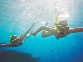 Kids snorkeling in the crystal clear waters of Curacao (Photo: Curacao Tourism Board)