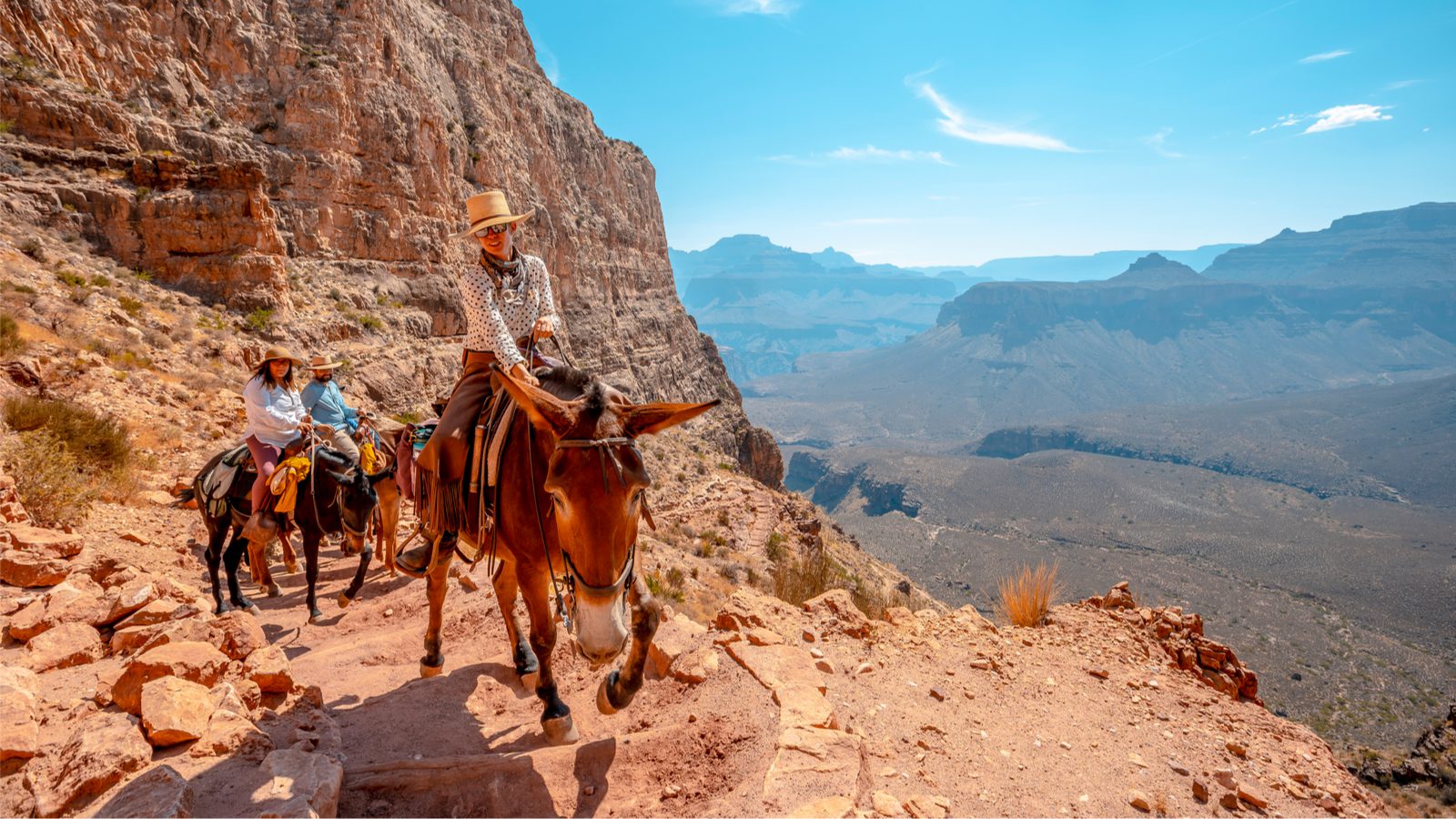 Grand Canyon mule ride from the South Rim (Photo: Shutterstock)