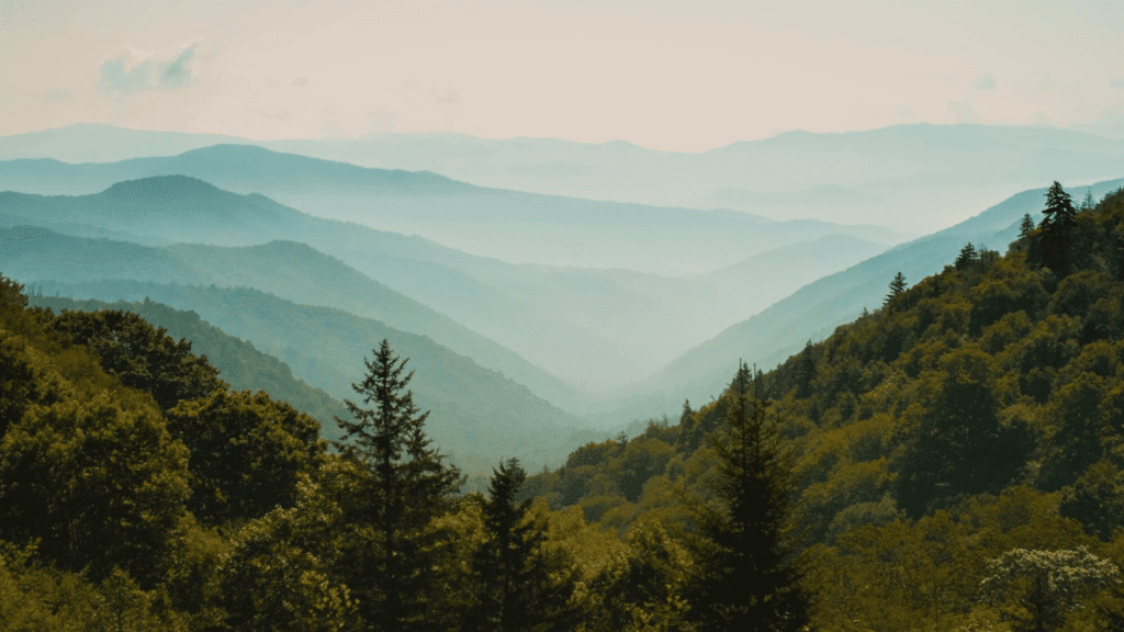 Great Smoky Mountains (Photo: @ryanthefearless via Twenty20)