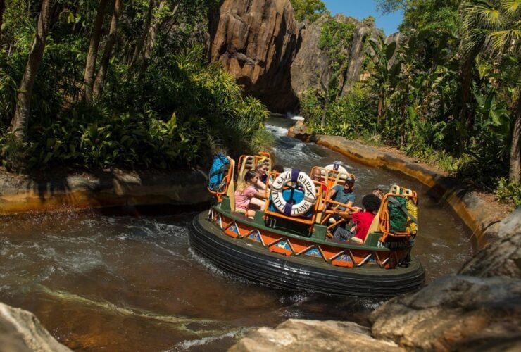 Many of the rides at Walt Disney World are well suited for all ages (Photo: Disney)