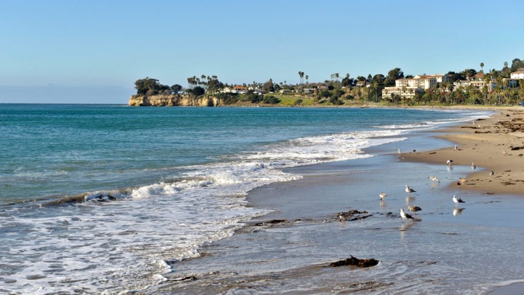 birds, waves, and beach at Leadbetter Beach, a popular thing to do in Santa Barbara