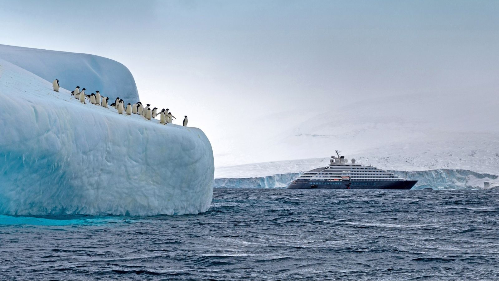 Scenic Eclipse Review: What It's Like To Take A Luxury Antarctica ...