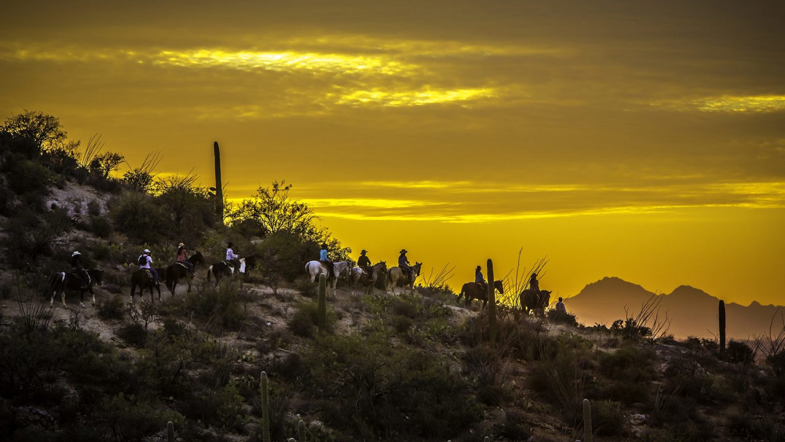 Sunset horseback ride through desert around Tanque Verde, an Arizona dude ranch