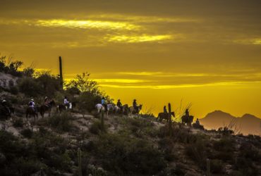 Sunset horseback ride through desert around Tanque Verde, an Arizona dude ranch