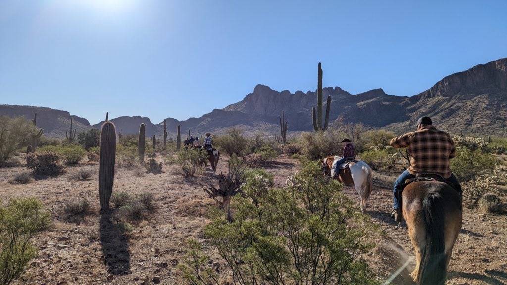 Genets a cavall per un sender amb cactus al White Stallion Ranch, un ranxo d'Arizona