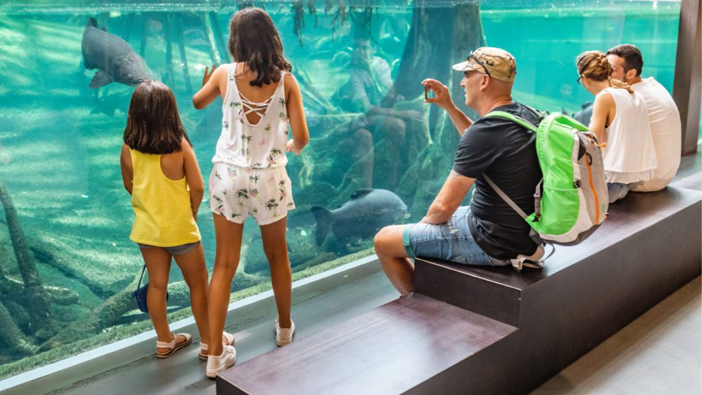 Children exploring the CosmoCaixa science museum in Barcelona (Photo: Shutterstock)