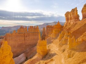 Bryce National Park rocks lit up by the sun. National parks are a Globus tour itinerary