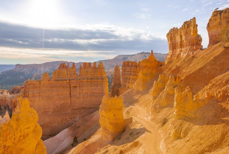 Bryce National Park rocks lit up by the sun. National parks are a Globus tour itinerary