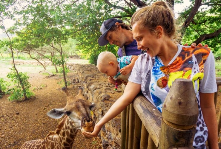 Young couple with a baby or toddler feeding a giraffe at the zoo (Photo: Shutterstock)