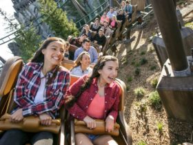 Flight of the Hippogriff at Universal Orlando's Wizarding World of Harry Potter (Photo: Universal)