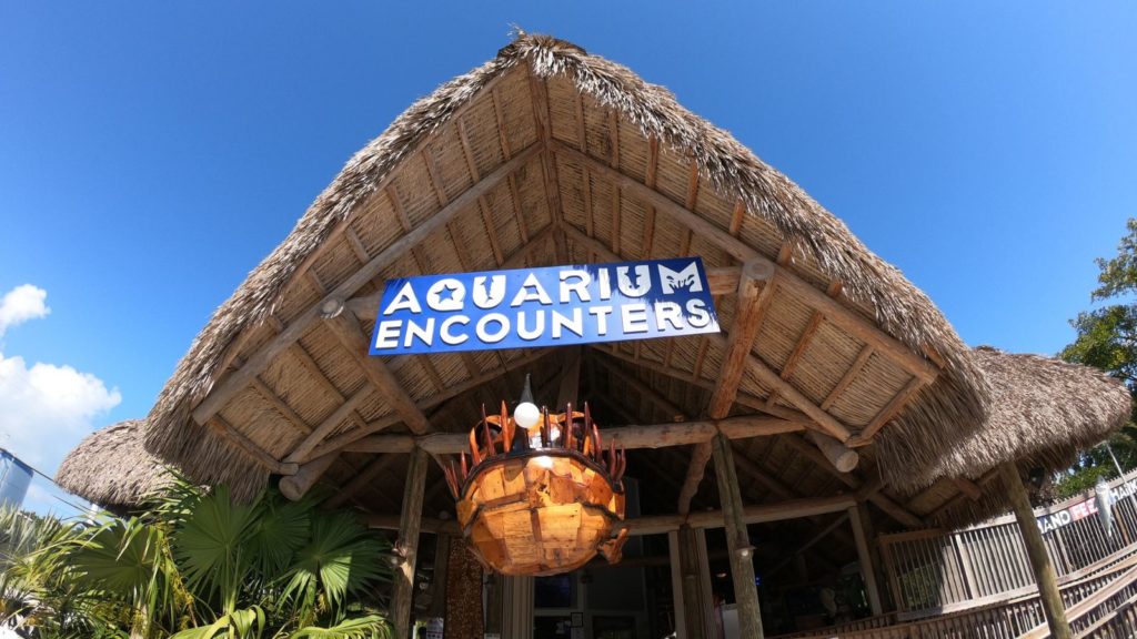 Aquarium Encounters Florida Keys in Marathon (Photo: Aquarium Encounters)