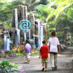 Journey of Water will be the first attraction inspired by Moana (Credit: Disney)