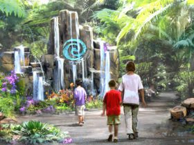Journey of Water will be the first attraction inspired by Moana (Credit: Disney)
