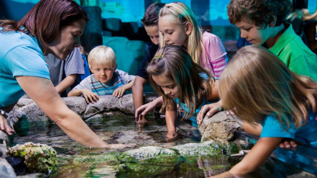 SEA LIFE Orlando Aquarium at ICON Park in Orlando (Photo: SEA LIFE Orlando Aquarium)