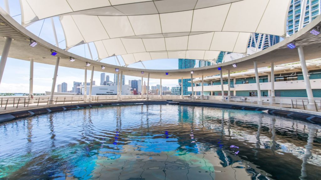 The Aquarium at the Phillip and Patricia Frost Museum of Science in Miami (Photo: Phillip and Patricia Frost Museum of Science)