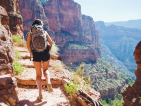 The Grand Canyon's lightly visited North Rim is every bit as impressive as the busier South Rim (Photo: @carleyc_az via Twenty20)