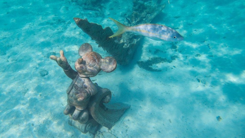 Ada kejutan di setiap belokan di Castaway Cay's Snorkel Lagoon (Foto: Disney Cruise Line)
