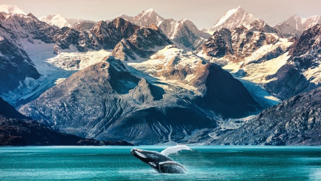 Whale in Alaska (Photo: Shutterstock)
