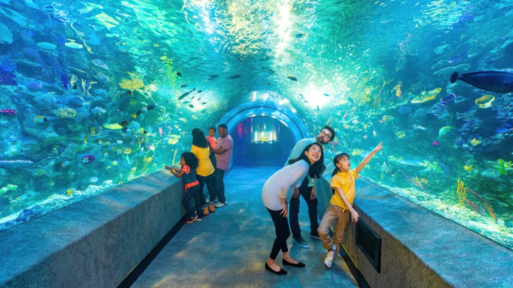 People watching sealife at the Coral Reef tunnel at the Newport Aquarium