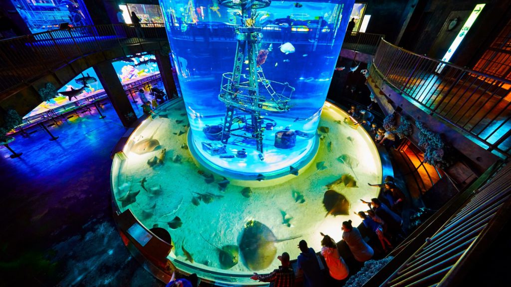 11 Best Aquariums in the U.S. to Visit with Kids (2023) - CreDit Johnny Morris WonDers Of WilDlife National Museum AnD Aquarium E1659584137858 1024x575