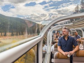 man looking out window in Goldleaf class aboard the Rocky Mountaineer train