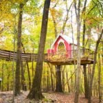 Little Red Treehouse at the treehouse hotel The Mohicans