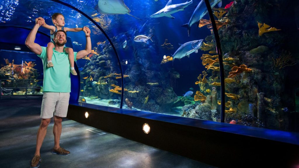 Aquarium at Moody Gardens in Galveston, Texas (Photo: Moody Gardens Hotel)