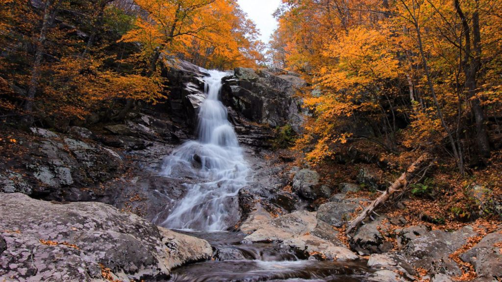 Dark Hollow Falls cascades 70 feet over greenstone in Shenandoah National Park (Photo: Virginia Tourism Corporation)