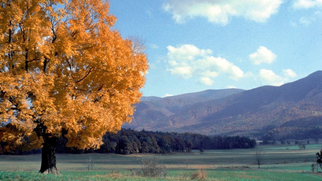 Fall at Cades Cove in Great Smoky Mountains National Park (Photo: National Park Service)