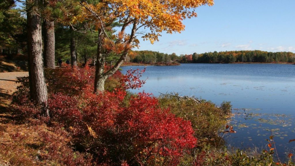 Fall colors light up Acadia National Park's historic carriage roads (Photo: National Park Service)