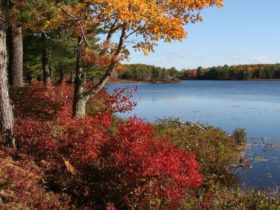 Fall colors light up Acadia National Park's historic carriage roads (Photo: National Park Service)