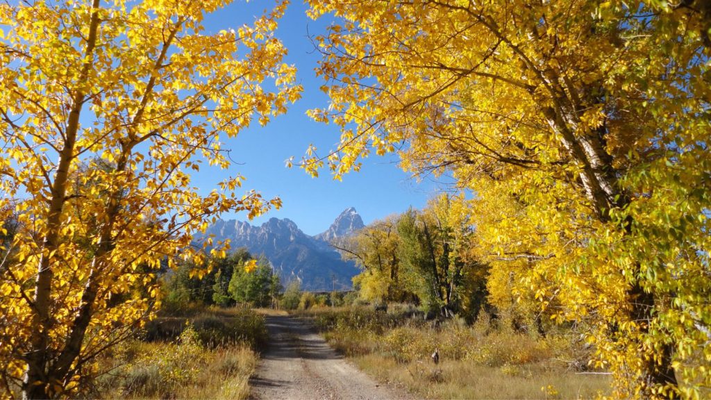 Fall splendor at Grand Teton National Park (Photo: National Park Service)