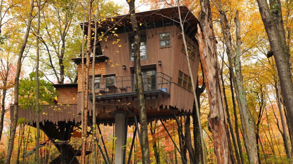 Treehouse Cottage treehouse hotel at Winvian Farm in fall, with yellow and orange leaves