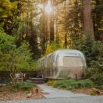 Airstream trailer surrounded by redwood trees and forest at AutoCamp Russian River