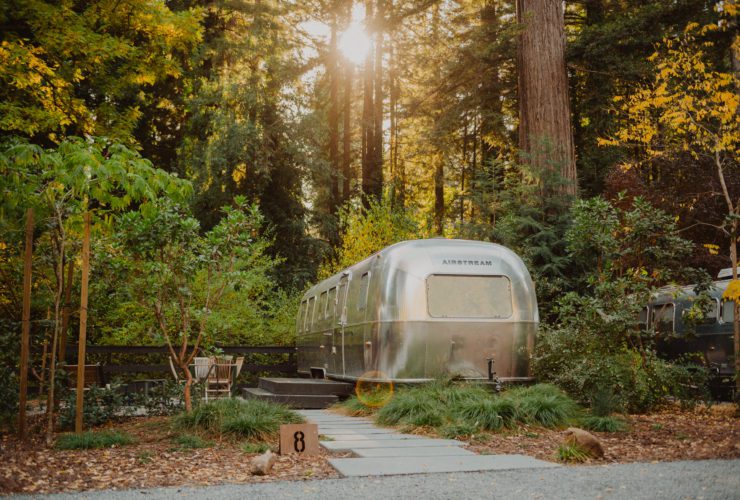 Airstream trailer surrounded by redwood trees and forest at AutoCamp Russian River