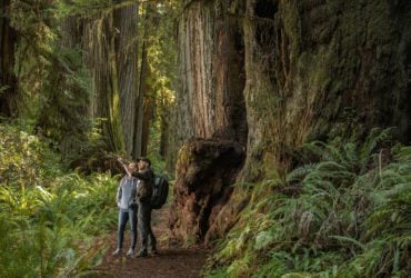 couple walking in the redwoods on a romantic Northern California getaway