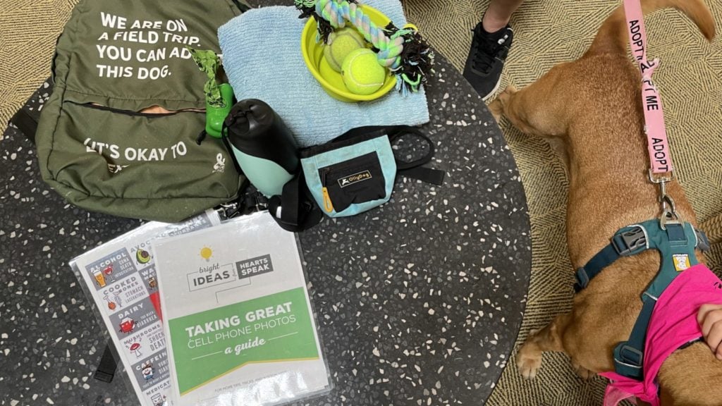 isi tur backpacking anjing yang ditawarkan oleh Hawaii Island Humane Society