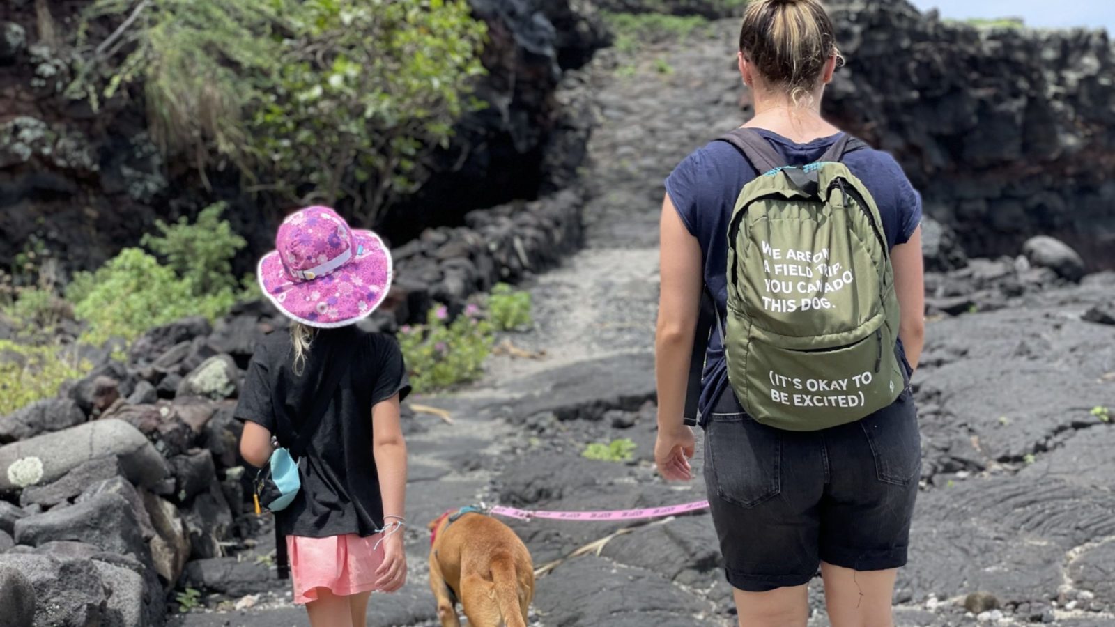 opal the dog on a field trip in hawaii walking on a trail