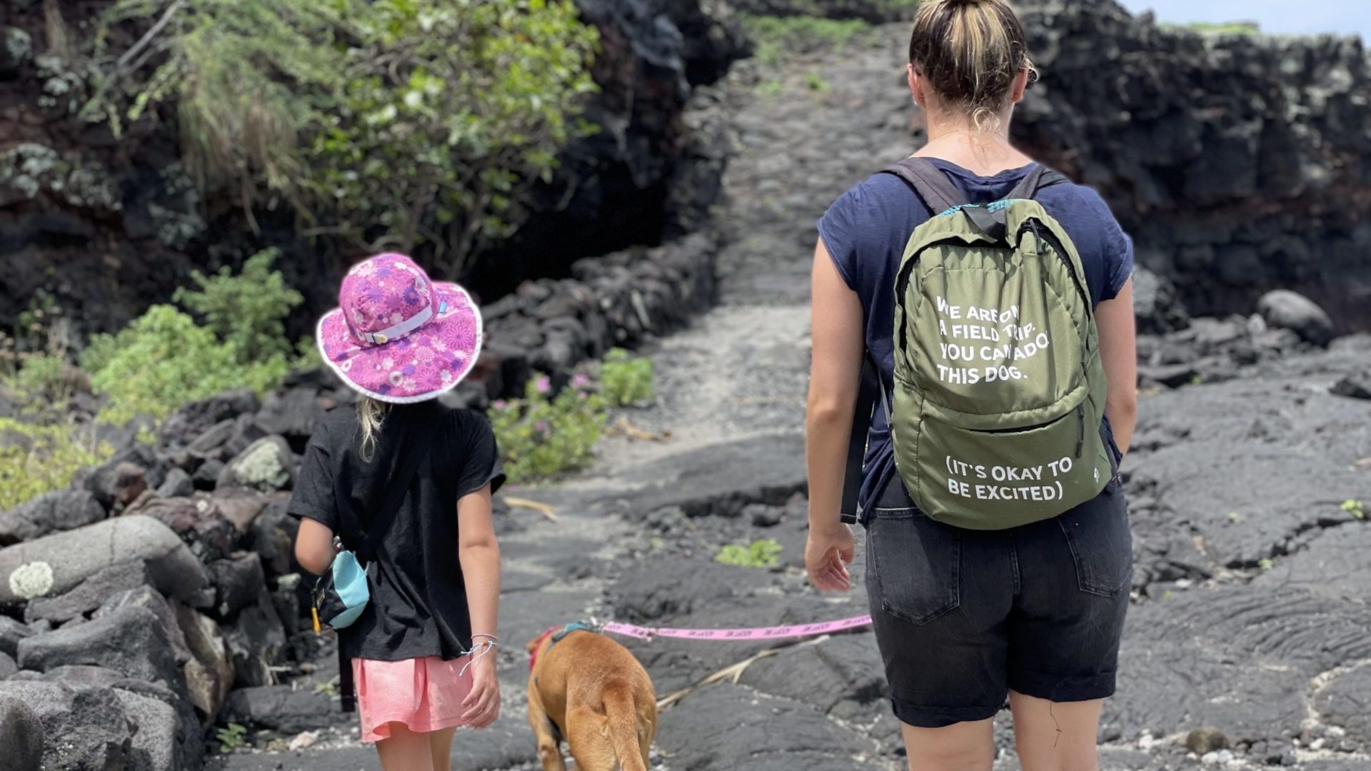 I Took a Dog on a Field Trip in Hawaii and it Was the Best Part of My ...