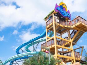 daytime view of large slide at Aquatica Orlando water theme park