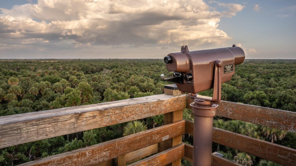 Pemandangan dari menara di Canopy Walk di Myakka River State Park