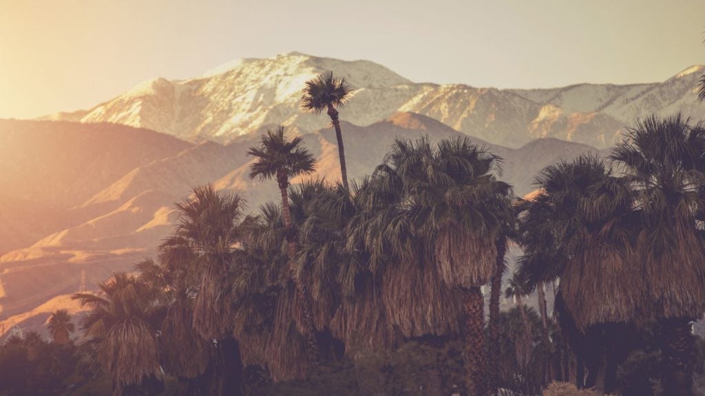 Palm trees and San Bernardino mountain range in Palm Springs (Photo: Envato)