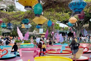teacups ride at Disney