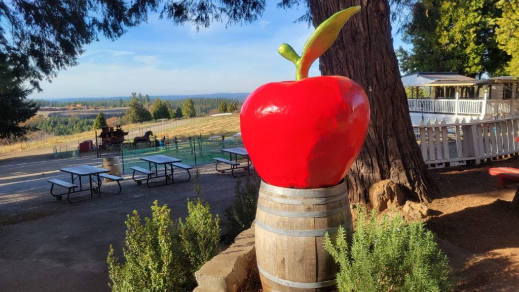 Large apple statue on a barrel at Hidden Star Camino, an Apple Hill destination that's good with kids