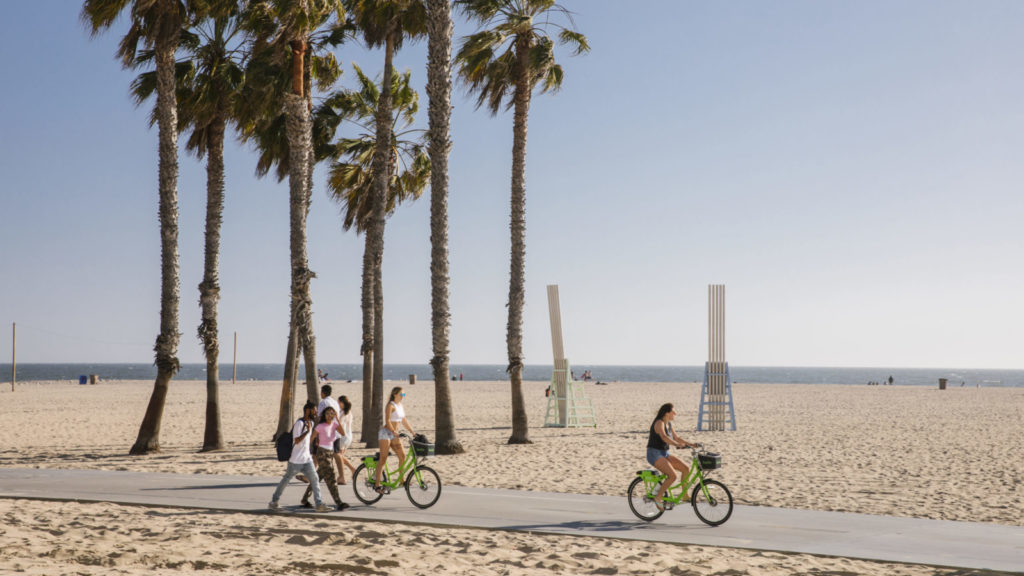 Santa Monica bike trail with beach and palm trees in background