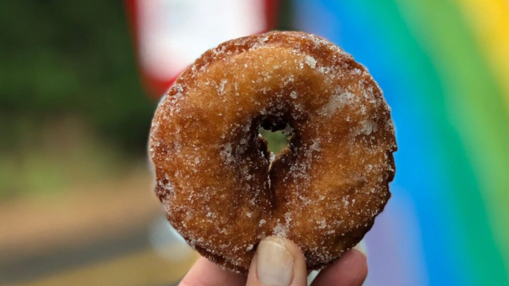 close up of a hot apple cider donut from Rainbow Orchards in Apple Hill in Camino near Placerville, California