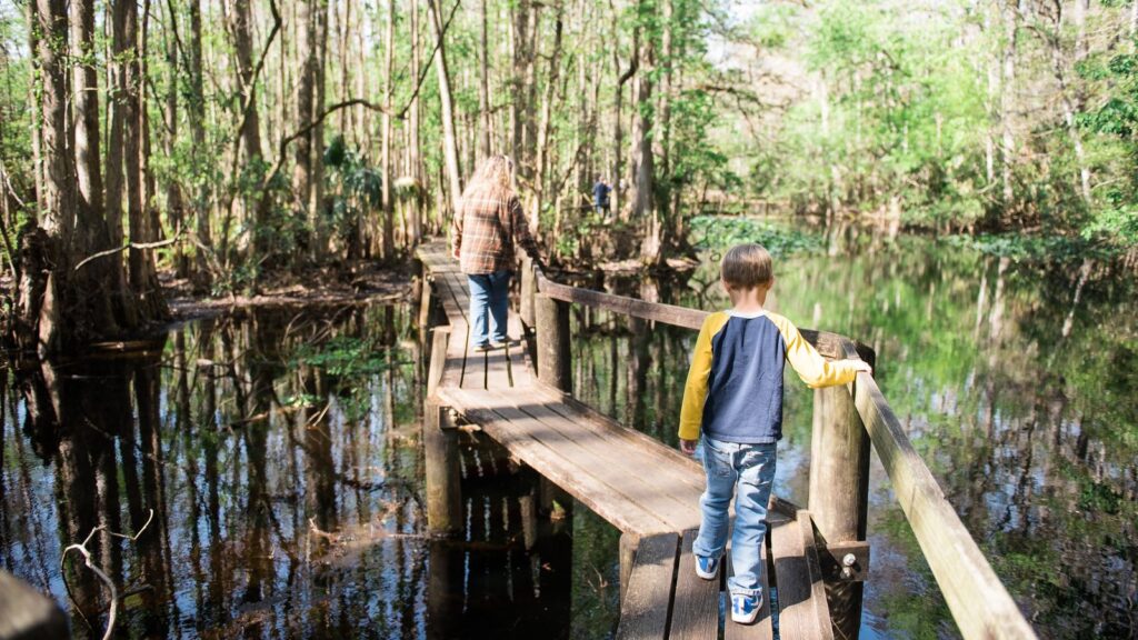 Highlands Hammock State Park (Photo: Visit Sebring)