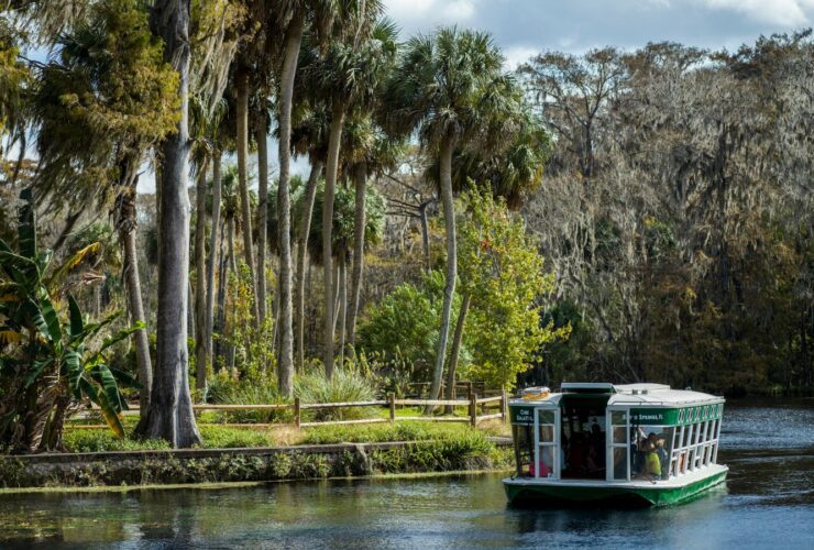 Tour boat at Silver Springs State Park in Florida (Photo: Shutterstock)